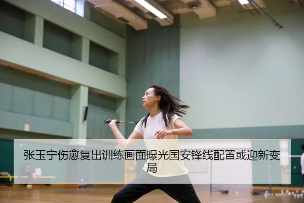 张玉宁伤愈复出训练画面曝光国安锋线配置或迎新变局